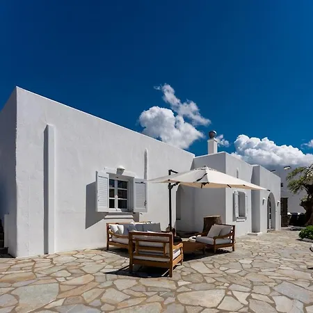 Plane Tree In Parikia *