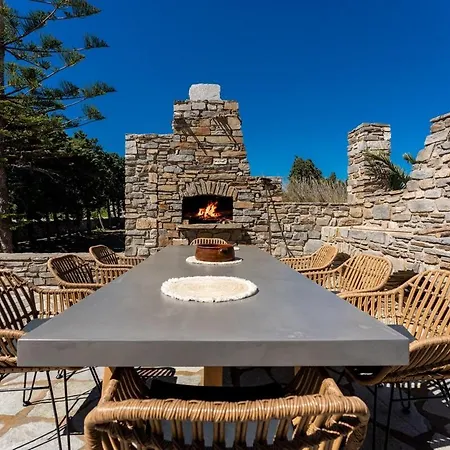 Plane Tree In Parikia *