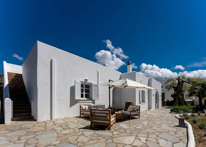 Plane Tree In Parikia *